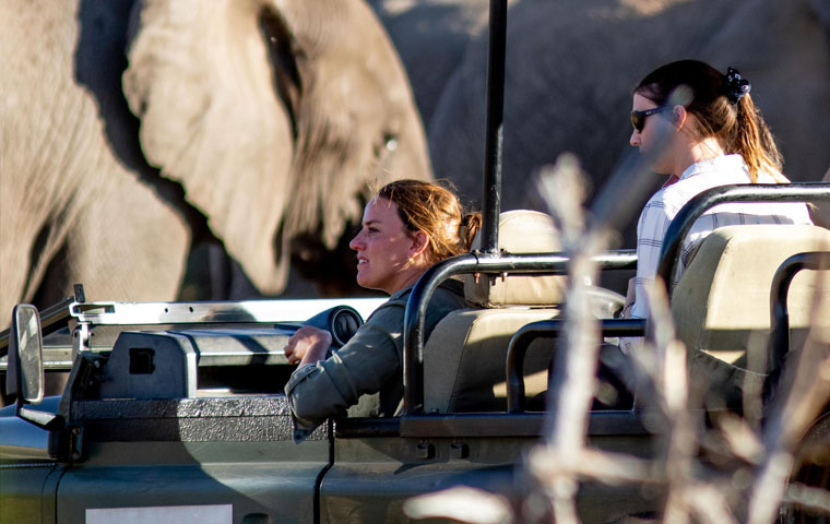 Activities to do in Hoedspruit