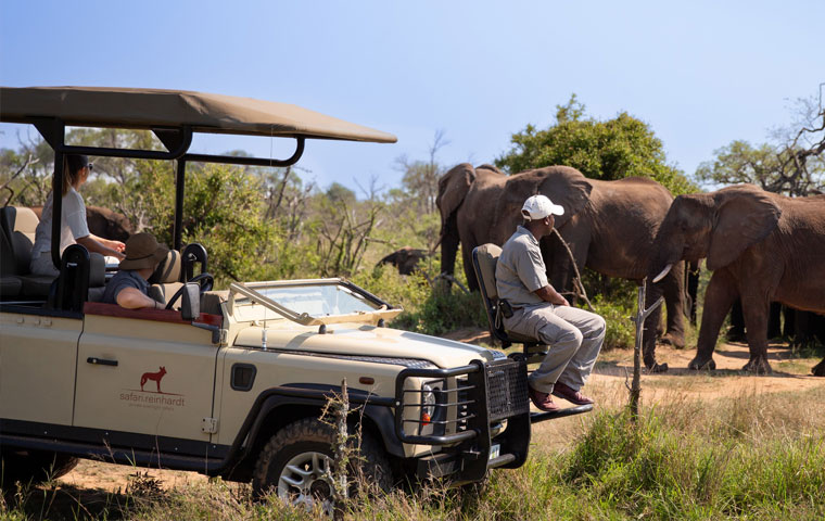Activities to do in Hoedspruit