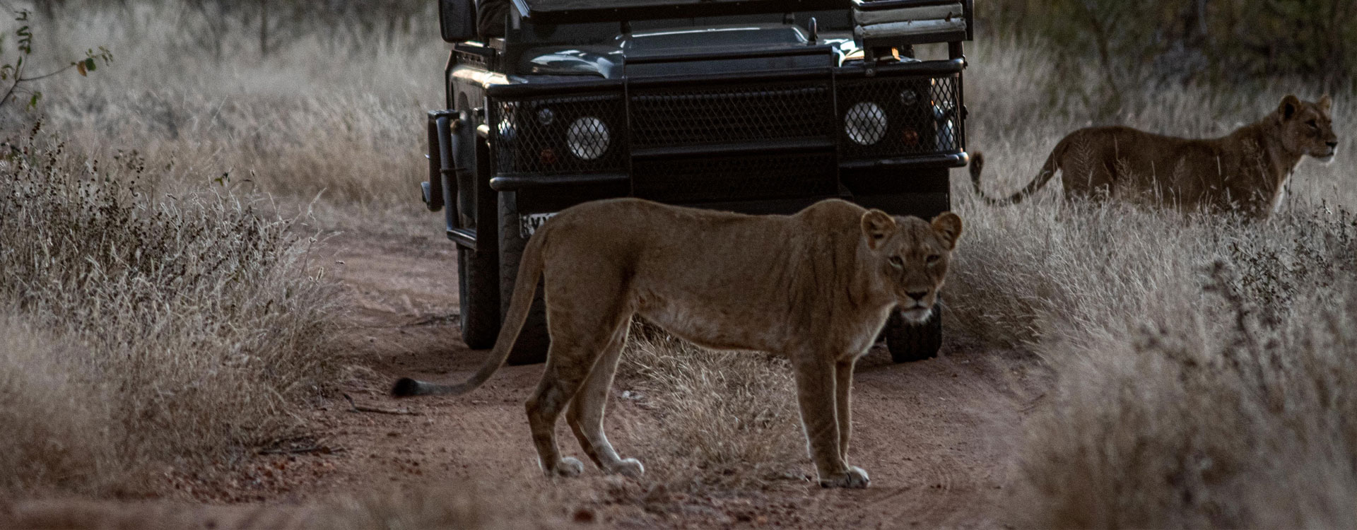 Leopard's Lair Bush Lodge