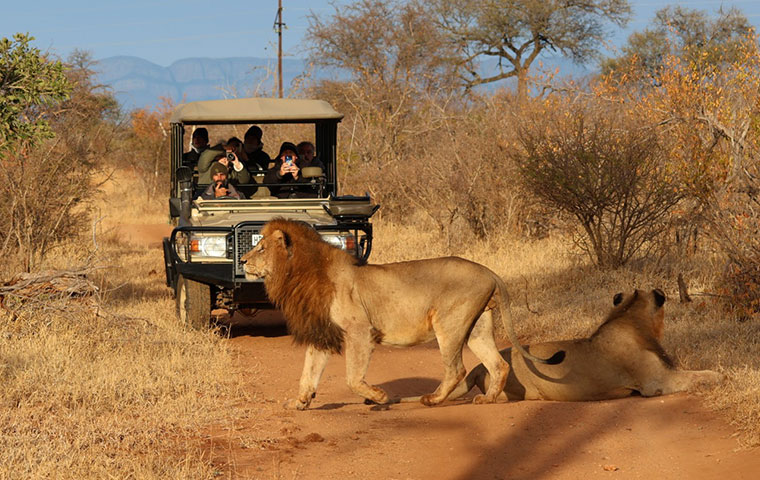 Leopard's Lair Bush Lodge Leopard's Lair Bush Lodge