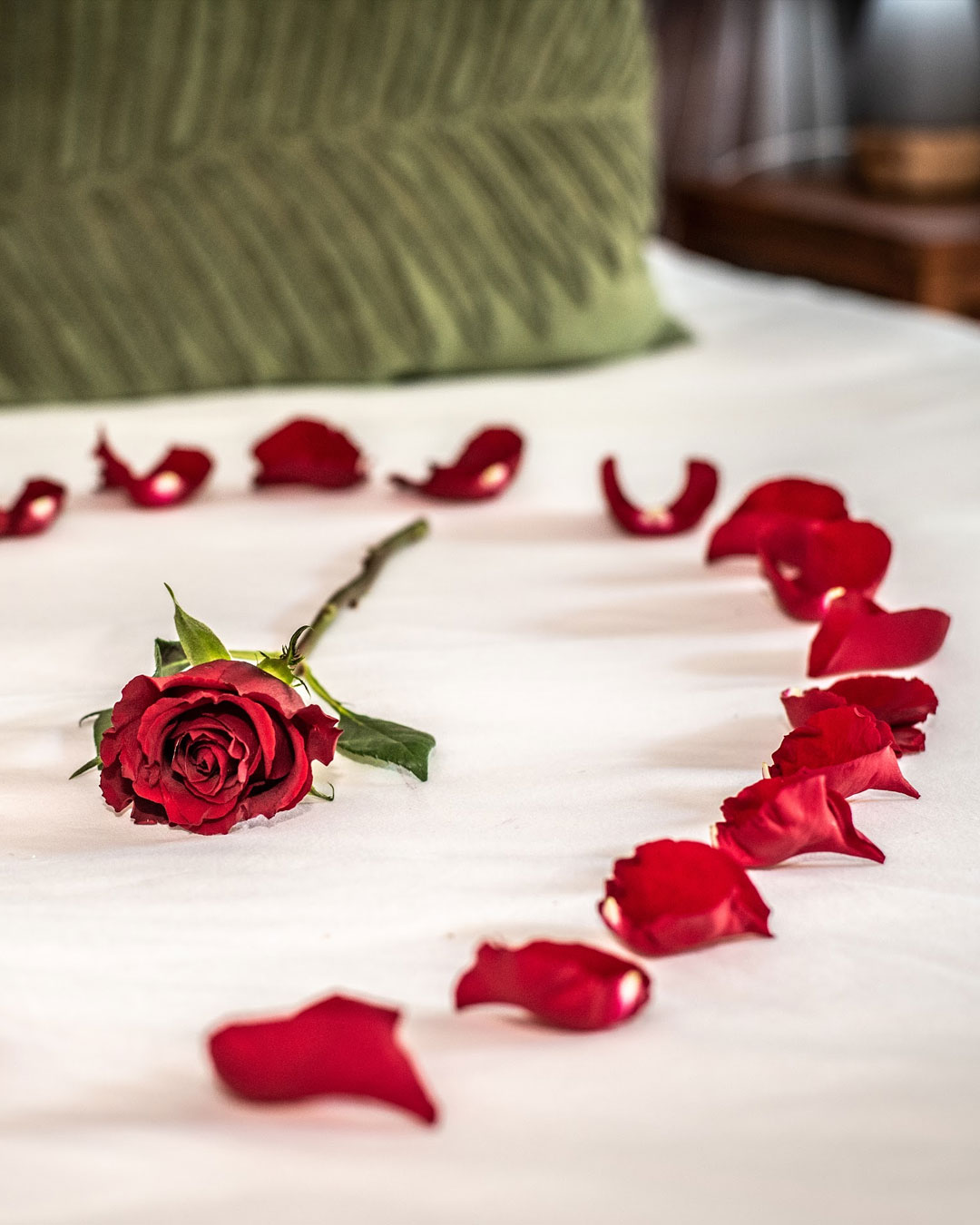 Leopard's Lair Bush Lodge Birthday Package